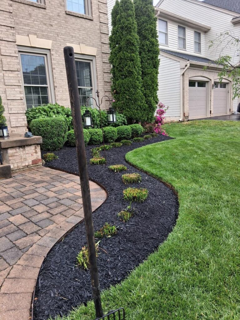 Fresh Garden Beds