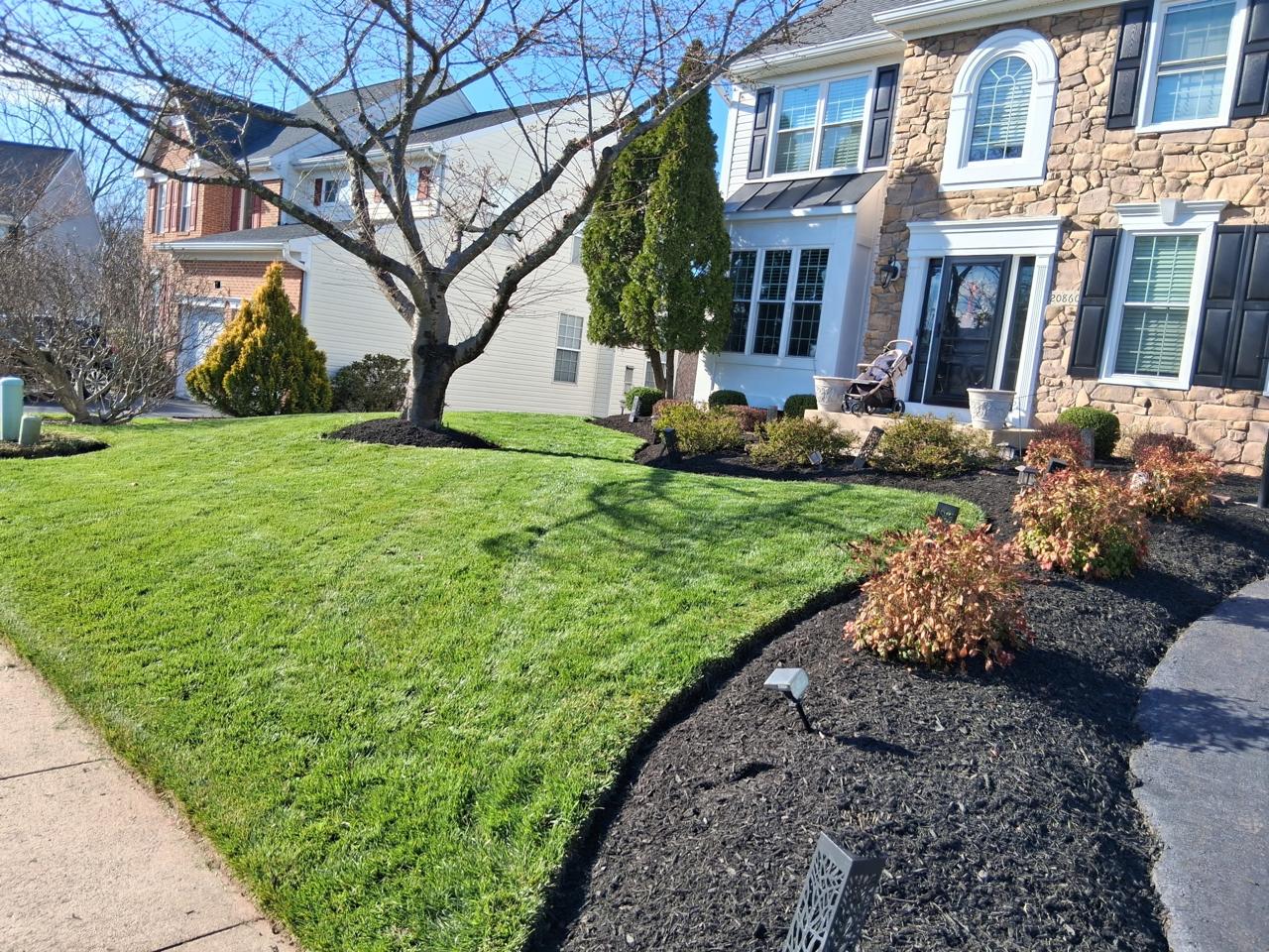 Garden beds