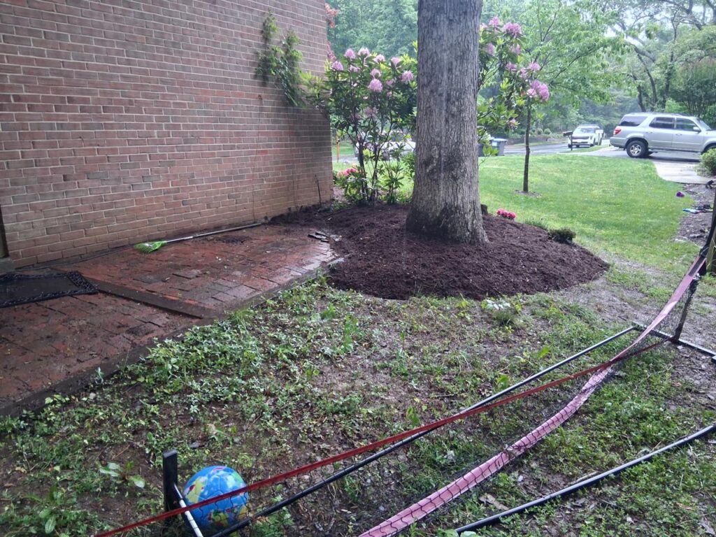 Beautiful Garden