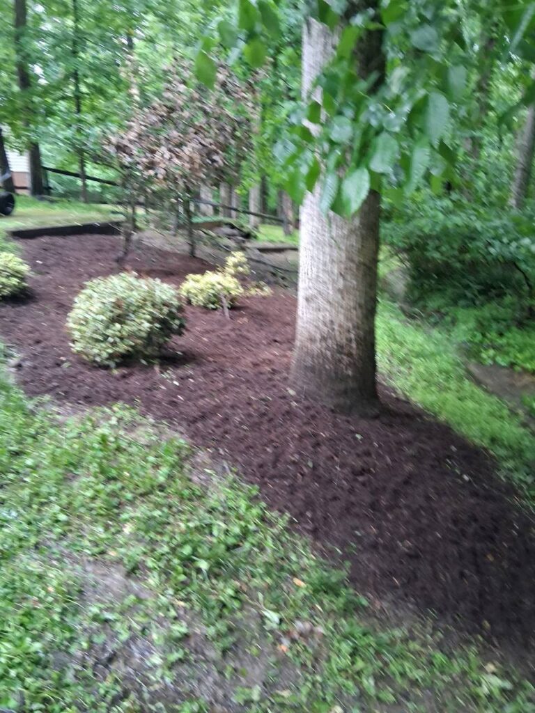Seasonal Cleanup Detail